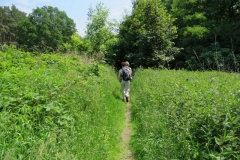 der_weg_ist_das_ziel