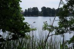 seeblick
