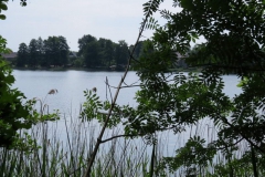seeblick1