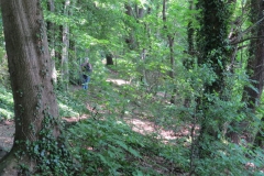 seeweg