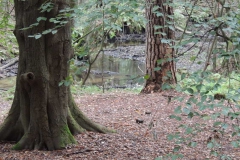 dscn2003
