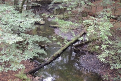 dscn2005