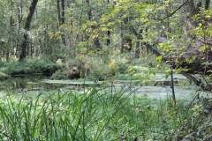dscn2047