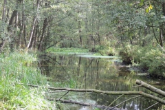 dscn2053