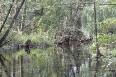 dscn2054