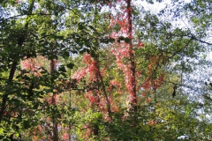 dscn2055