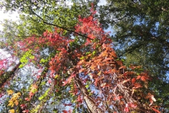 dscn2056