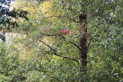 dscn2057