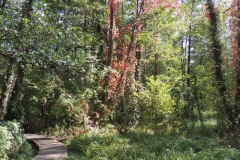 dscn2058