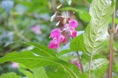 dscn2061