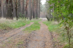 dscn3444
