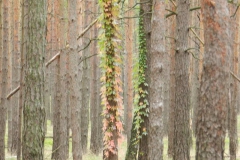 dscn3445