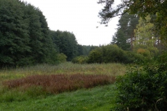 dscn3449