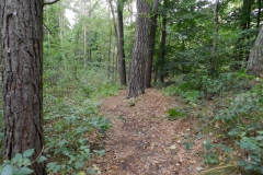 dscn3469