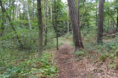 dscn3470