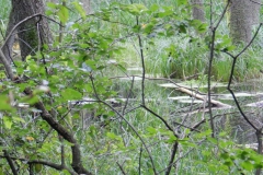 dscn3472