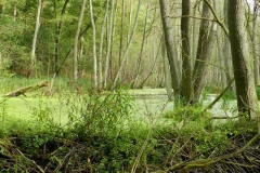 dscn3484
