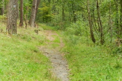 dscn3488