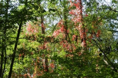 dscn3501
