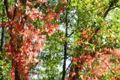 dscn3503