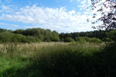 dscn3509