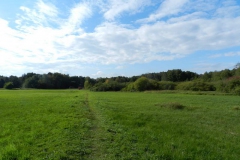 dscn3510