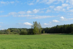 dscn3514