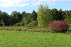dscn3515