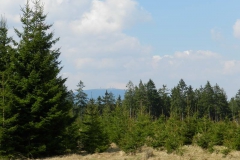 dscn4445