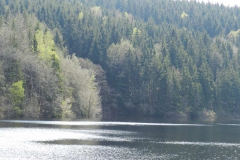 dscn4458