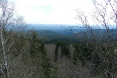 dscn4472