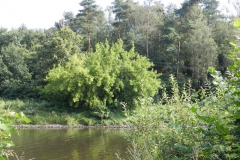 dscn2787