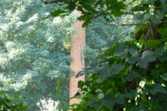 dscn2788 dscn2788