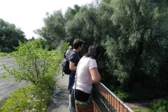 dscn2795 dscn2795