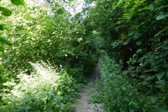 dscn2812 dscn2812