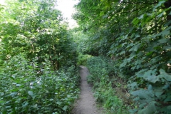 dscn2813