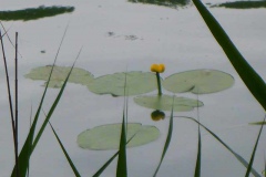 p1010937