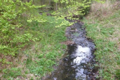 p1000640_copy