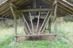 p1000652_copy