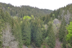 p1000663_copy