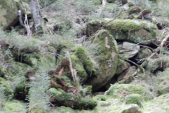 dscn4398