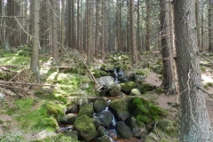 dscn4399