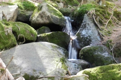 dscn4400