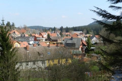 dscn4410