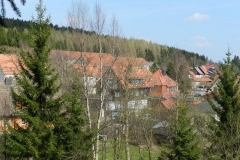 dscn4411