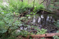 img_0491